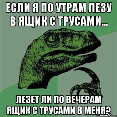 если я по утрам лезу в ящик с трусами... лезет ли по вечерам ящик с трусами в меня?, Мем Филосораптор