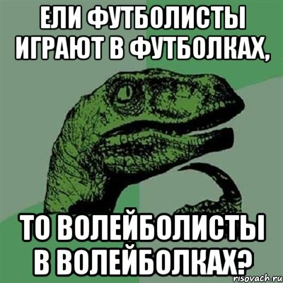 Ели футболисты играют в футболках, то волейболисты в волейболках?, Мем Филосораптор