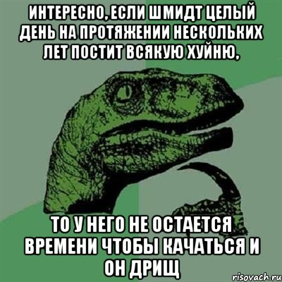 Интересно, если Шмидт целый день на протяжении нескольких лет постит всякую хуйню, то у него не остается времени чтобы качаться и он дрищ, Мем Филосораптор