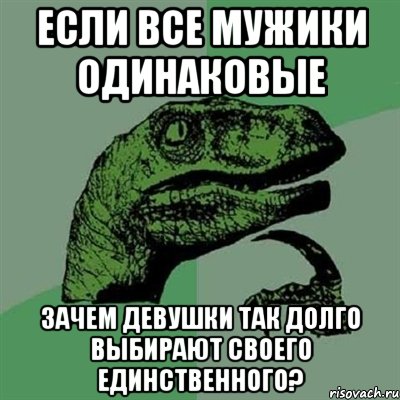 Если все мужики одинаковые зачем девушки так долго выбирают своего единственного?, Мем Филосораптор