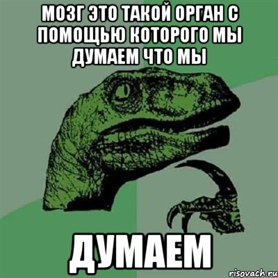 мозг это такой орган с помощью которого мы думаем что мы думаем, Мем Филосораптор