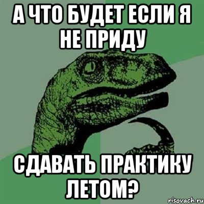 А что будет если я не приду сдавать практику летом?, Мем Филосораптор