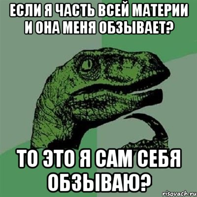 если я часть всей материи и она меня обзывает? то это я сам себя обзываю?, Мем Филосораптор