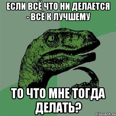 Если всё что ни делается - всё к лучшему то что мне тогда делать?, Мем Филосораптор