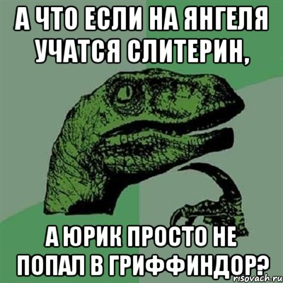 А ЧТО ЕСЛИ НА ЯНГЕЛЯ УЧАТСЯ СЛИТЕРИН, А ЮРИК ПРОСТО НЕ ПОПАЛ В ГРИФФИНДОР?, Мем Филосораптор