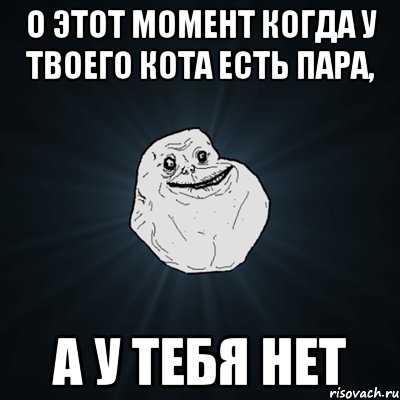 О этот момент когда у твоего кота есть пара, А У ТЕБЯ НЕТ, Мем Forever Alone