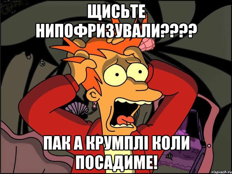 Щисьте НИПОФРИЗУВАЛИ???? Пак а крумплі коли посадиме!, Мем Фрай в панике