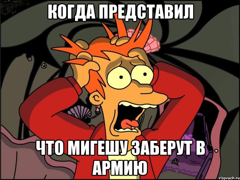 КОГДА ПРЕДСТАВИЛ ЧТО МИГЕШУ ЗАБЕРУТ В АРМИЮ, Мем Фрай в панике