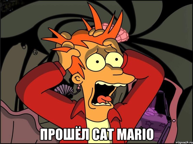  Прошёл Cat Mario, Мем Фрай в панике