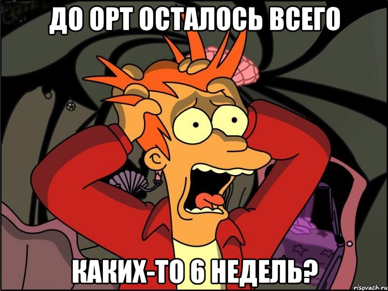 ДО ОРТ ОСТАЛОСЬ ВСЕГО КАКИХ-ТО 6 НЕДЕЛЬ?, Мем Фрай в панике