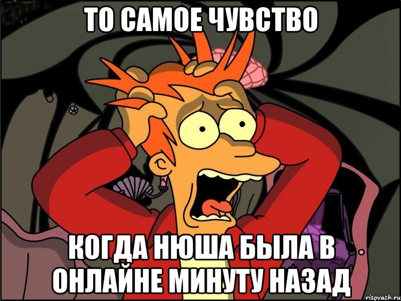 То самое чувство когда Нюша была в онлайне минуту назад, Мем Фрай в панике