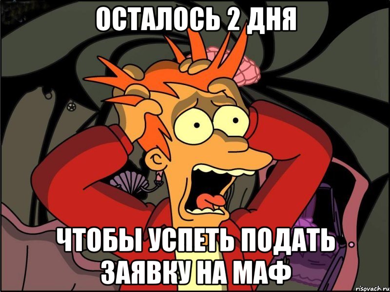 ОСТАЛОСЬ 2 дня Чтобы успеть подать заявку на МАФ, Мем Фрай в панике