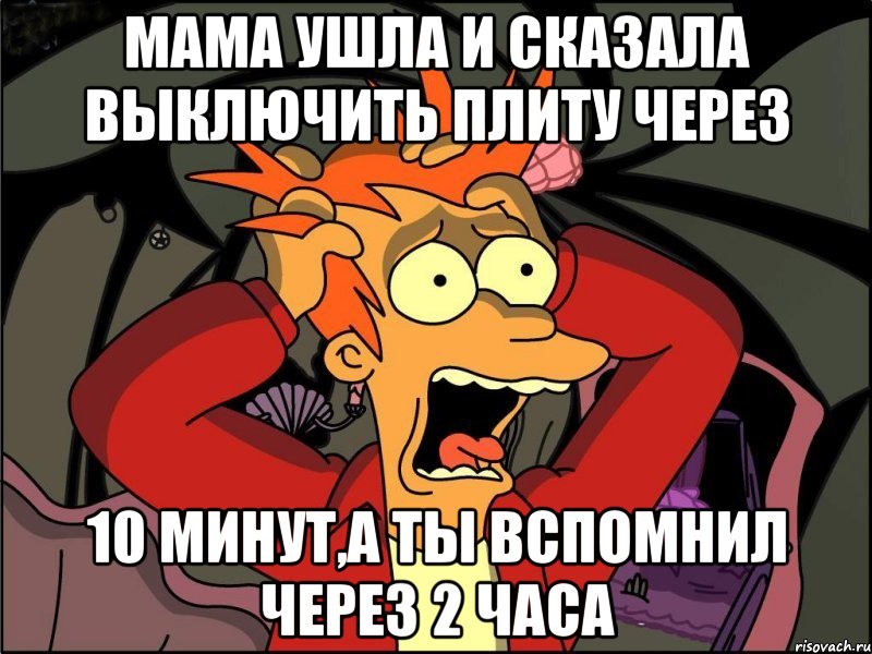 Мама ушла и сказала выключить плиту через 10 минут,а ты вспомнил через 2 часа, Мем Фрай в панике