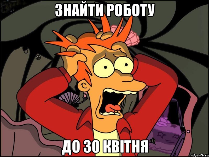 знайти роботу до 30 квітня, Мем Фрай в панике