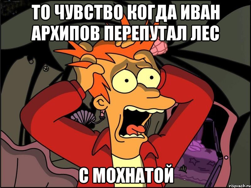 То чувство Когда Иван Архипов перепутал лес С мохнатой, Мем Фрай в панике