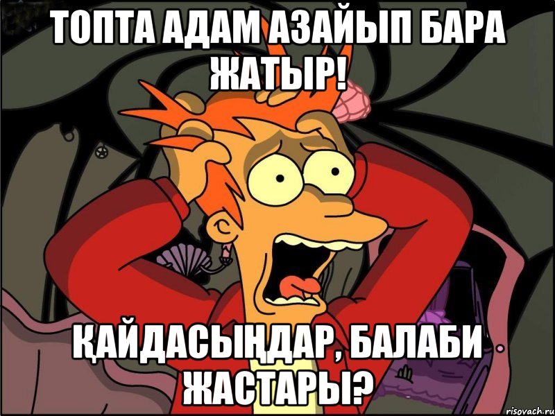 Топта адам азайып бара жатыр! Қайдасыңдар, БалаБи ЖАСТАРЫ?, Мем Фрай в панике