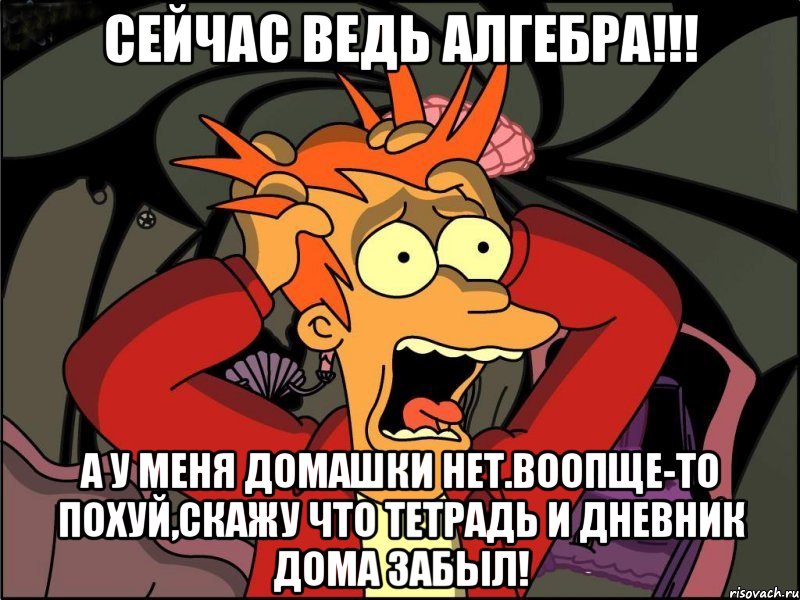 Сейчас ведь алгебра!!! А у меня домашки нет.Воопще-то похуй,скажу что тетрадь и дневник дома забыл!, Мем Фрай в панике