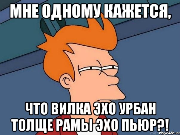 мне одному кажется, что вилка эхо урбан толще рамы эхо пьюр?!, Мем  Фрай (мне кажется или)