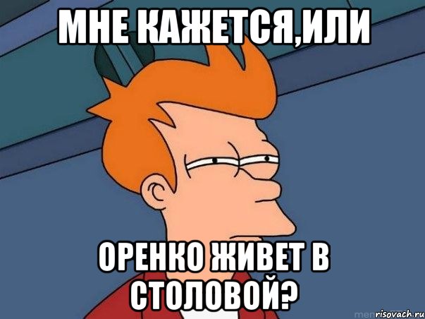 мне кажется,или Оренко живет в столовой?, Мем  Фрай (мне кажется или)