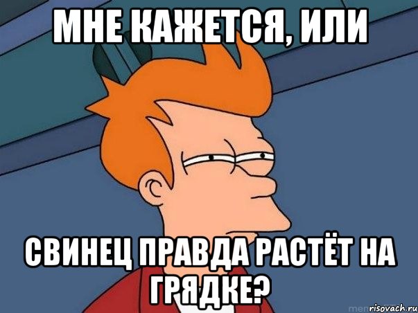 Мне кажется, или свинец правда растёт на грядке?, Мем  Фрай (мне кажется или)