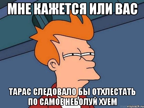 МНЕ КАЖЕТСЯ ИЛИ ВАС ТАРАС СЛЕДОВАЛО БЫ ОТХЛЕСТАТЬ ПО САМОЕ НЕБОЛУЙ ХУЕМ, Мем  Фрай (мне кажется или)