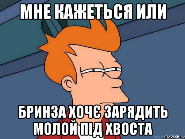 мне кажеться или бринза хочє зарядить молой під хвоста, Мем  Фрай (мне кажется или)