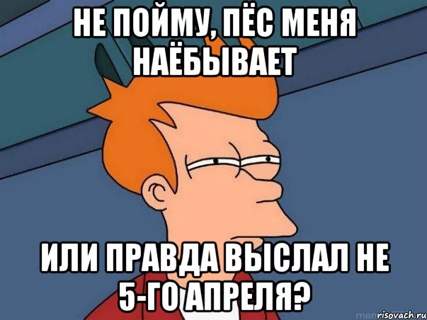 Не пойму, пёс меня наёбывает Или правда выслал не 5-го апреля?, Мем  Фрай (мне кажется или)