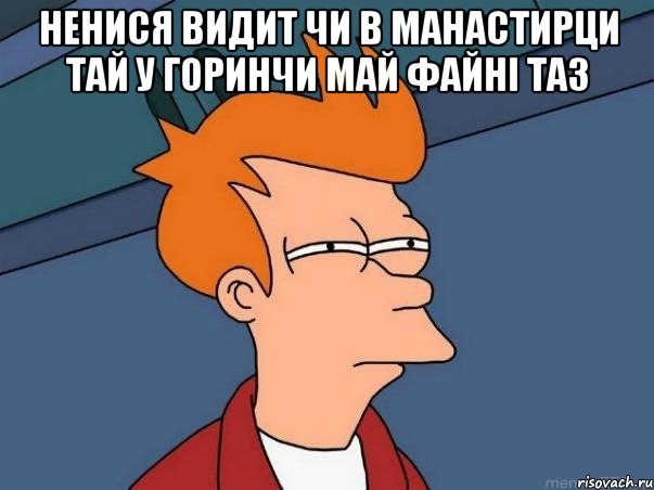 Ненися видит чи в манастирци тай у Горинчи май файні таз , Мем  Фрай (мне кажется или)