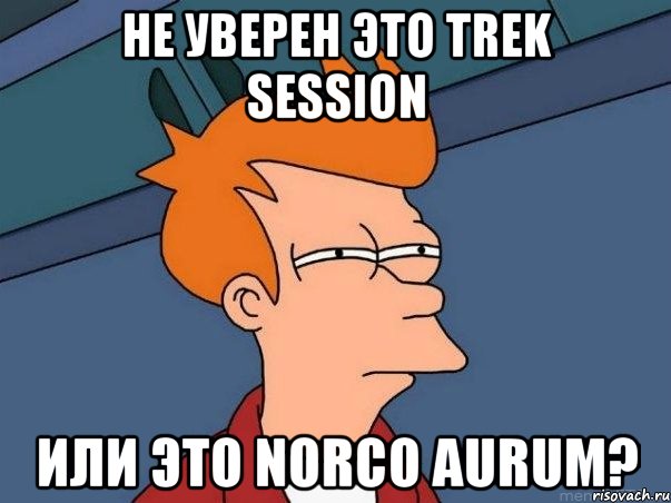 Не уверен это Trek Session или это Norco Aurum?, Мем  Фрай (мне кажется или)