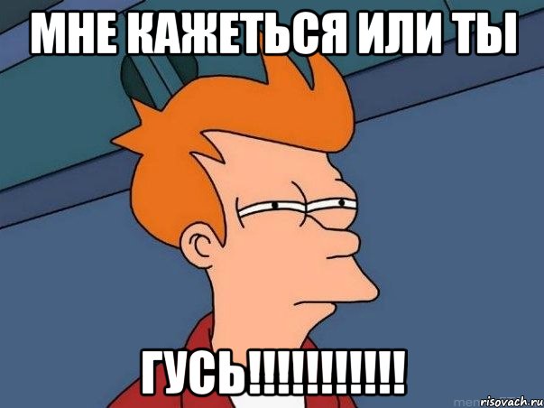 мне кажеться или ты ГУСЬ!!!!!!!!!!!, Мем  Фрай (мне кажется или)