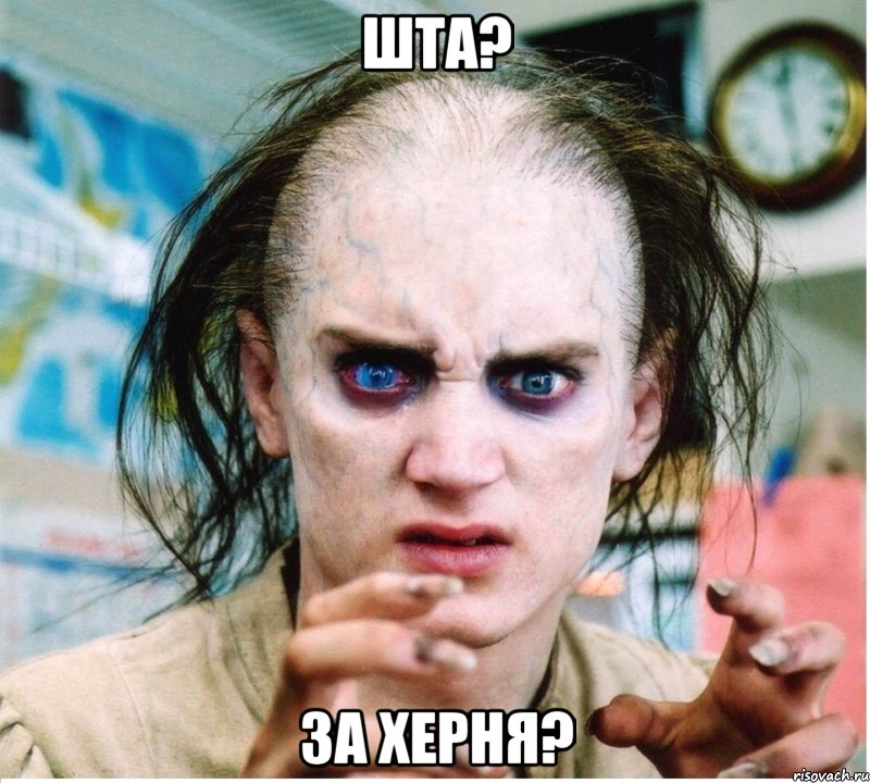 Шта? За херня?, Мем фродум