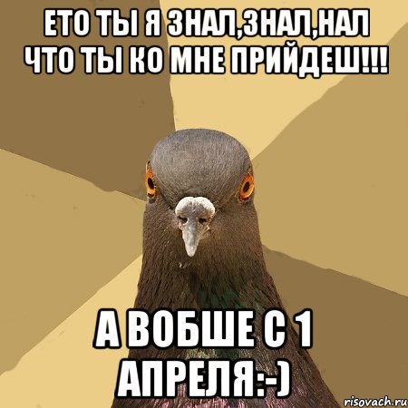 Ето ты я знал,знал,нал что ты ко мне прийдеш!!! А вобше с 1 апреля:-), Мем голубь