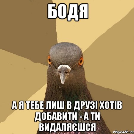 Бодя а я тебе лиш в друзі хотів добавити - а ти видаляєшся, Мем голубь