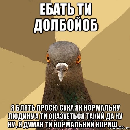 ЕБАТЬ ТИ ДОЛБОЙОБ Я БЛЯТЬ ПРОСЮ СУКА ЯК НОРМАЛЬНУ ЛЮДИНУ А ТИ ОКАЗУЕТЬСЯ ТАКИЙ ДА НУ НУ , Я ДУМАВ ТИ НОРМАЛЬНИЙ КОРИШ ..., Мем голубь