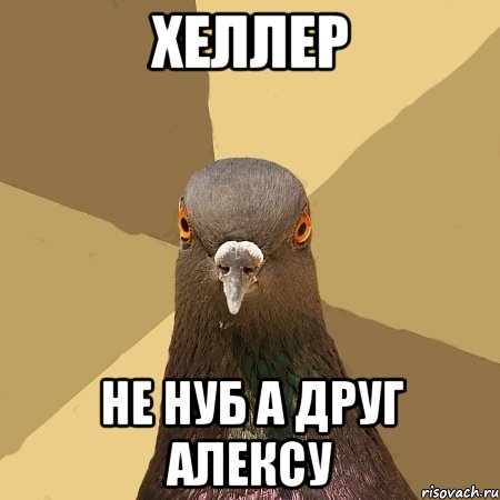 хеллер не нуб а друг алексу, Мем голубь