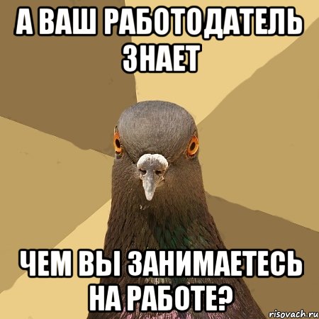 а ваш работодатель знает чем вы занимаетесь на работе?, Мем голубь