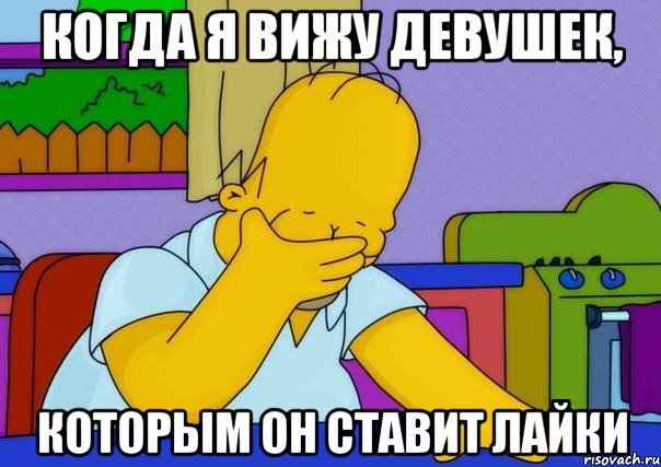 Когда я вижу девушек, которым он ставит лайки, Мем Homer simpson facepalm