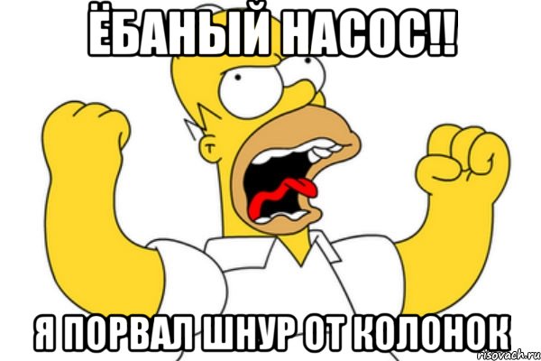 Ёбаный насос!! я порвал шнур от колонок, Мем Разъяренный Гомер