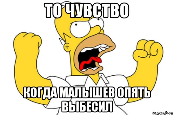 то чувство когда малышев опять выбесил, Мем Разъяренный Гомер