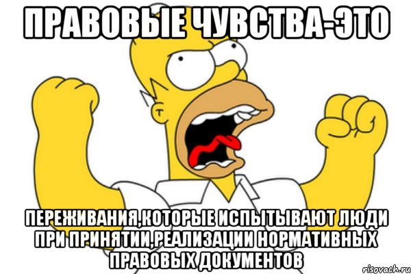 правовые чувства-это переживания,которые испытывают люди при принятии,реализации нормативных правовых документов, Мем Разъяренный Гомер