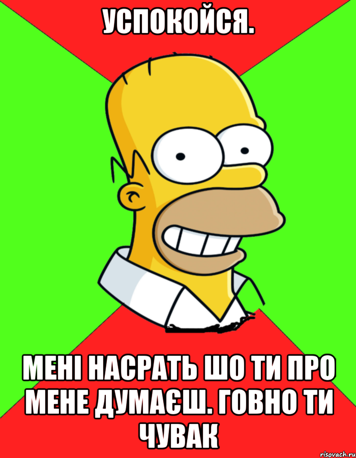 успокойся. мені насрать шо ти про мене думаєш. говно ти чувак, Мем  Гомер