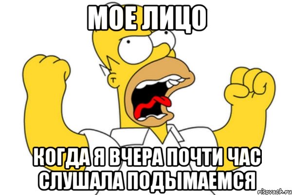 мое лицо когда я вчера почти час слушала ПОДЫМАЕМСЯ, Мем Разъяренный Гомер