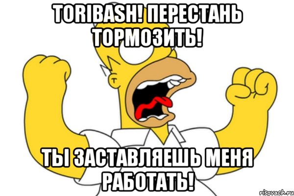 Toribash! Перестань тормозить! Ты заставляешь меня работать!, Мем Разъяренный Гомер