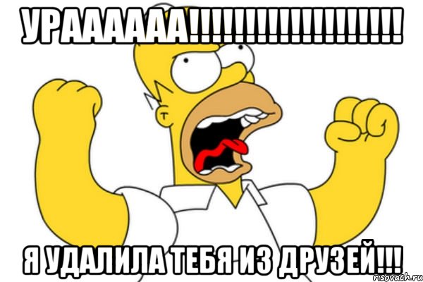 Ураааааа!!!!!!!!!!!!!!!!!!! Я удалила тебя из друзей!!!, Мем Разъяренный Гомер