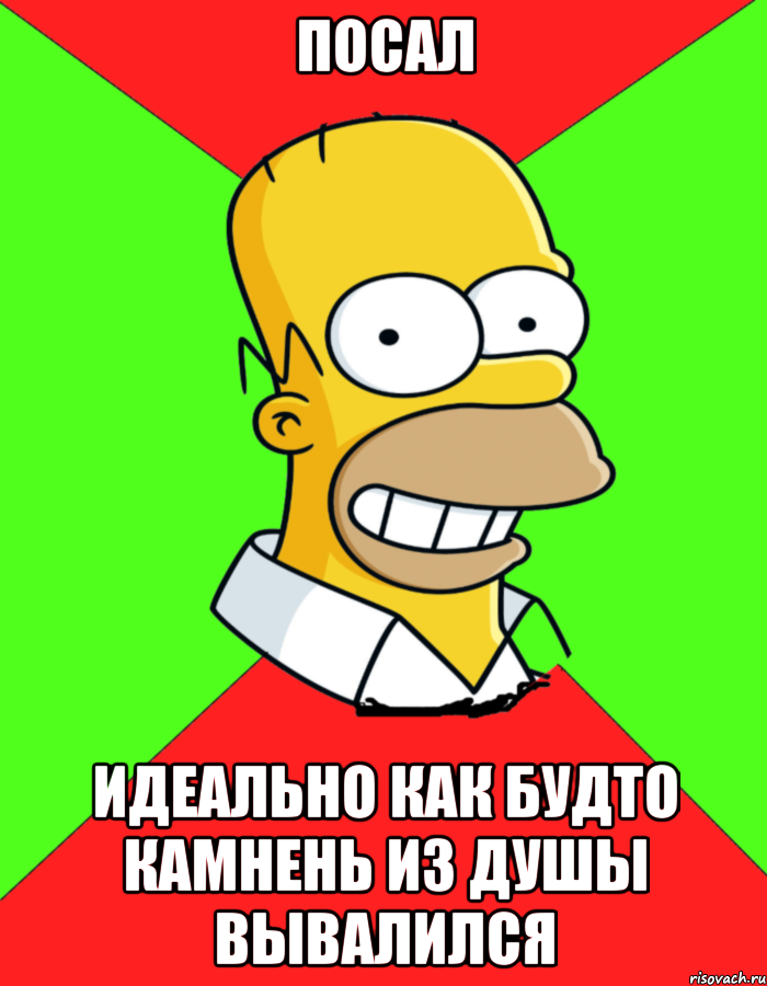 посал идеально как будто камнень из душы вывалился, Мем  Гомер