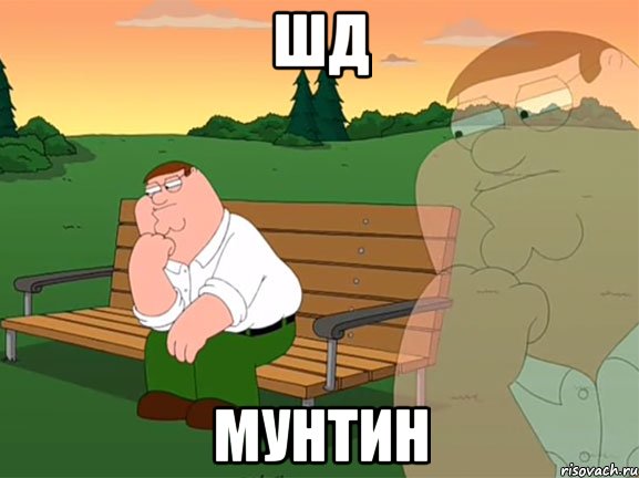 ШД Мунтин, Мем Задумчивый Гриффин