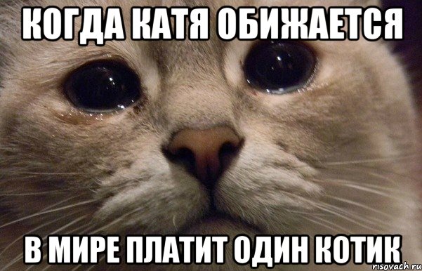 Когда Катя обижается В мире платит один котик, Мем   В мире грустит один котик