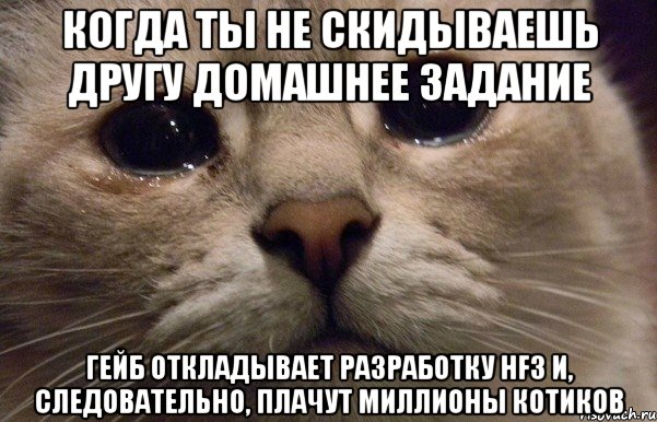 Когда ты не скидываешь другу домашнее задание Гейб откладывает разработку HF3 и, следовательно, плачут миллионы котиков, Мем   В мире грустит один котик