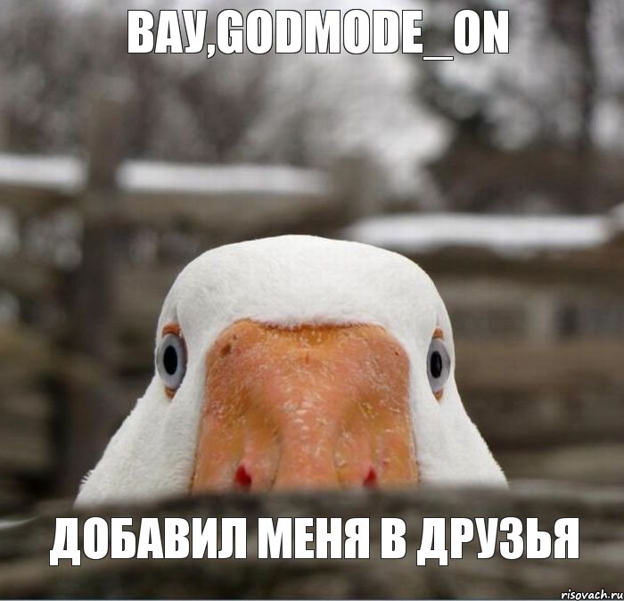 Вау,Godmode_ON Добавил меня в друзья, Комикс гусь