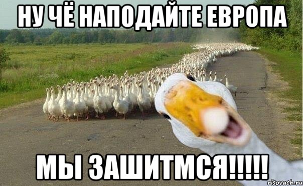 ну чё наподайте европа мы зашитмся!!!!!, Мем гуси